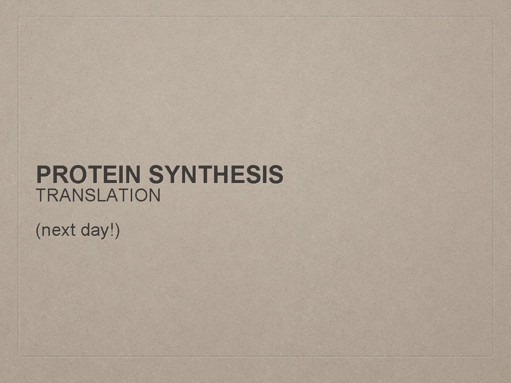 PROTEIN SYNTHESIS TRANSLATION (next day!) 