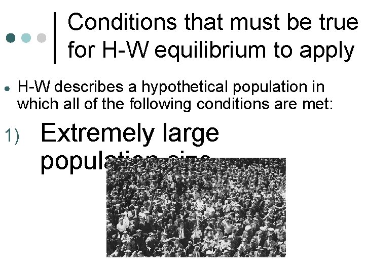 Conditions that must be true for H-W equilibrium to apply ● H-W describes a