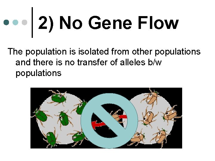 2) No Gene Flow The population is isolated from other populations and there is