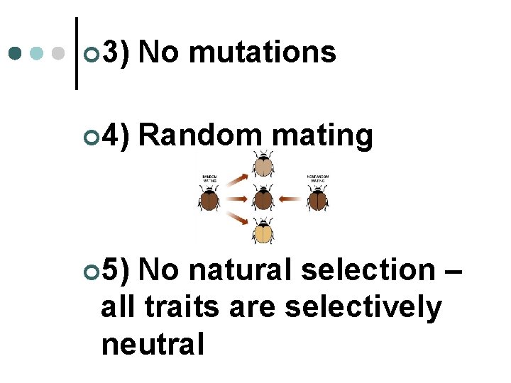 ¢ 3) No mutations ¢ 4) Random mating ¢ 5) No natural selection –