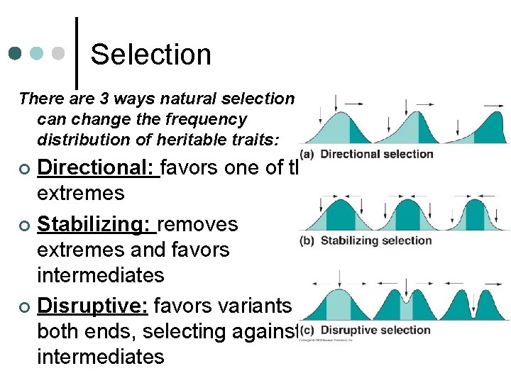Selection There are 3 ways natural selection can change the frequency distribution of heritable