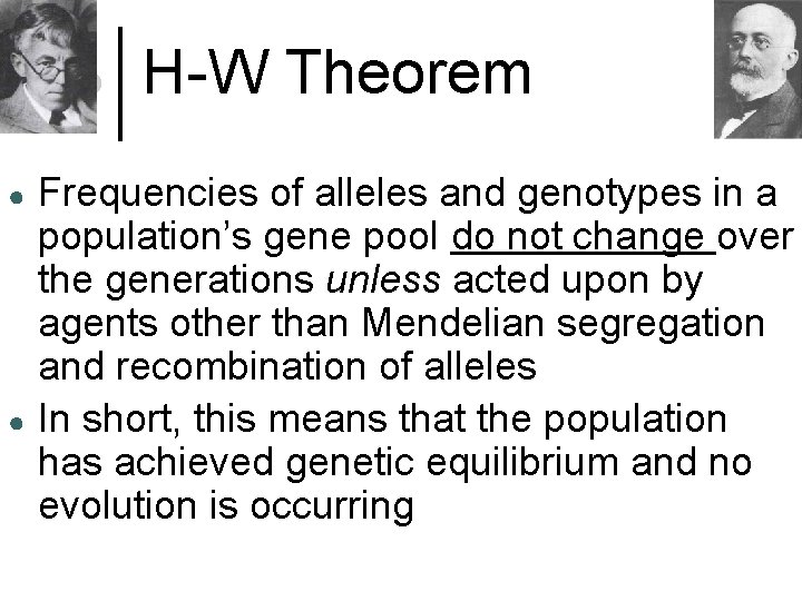 H-W Theorem ● ● Frequencies of alleles and genotypes in a population’s gene pool