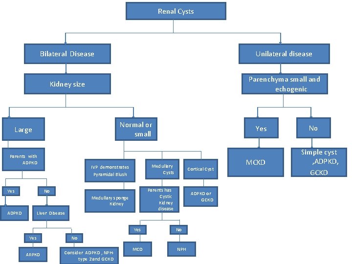 Renal Cysts Bilateral Disease Unilateral disease Kidney size Parenchyma small and echogenic Normal or Renal Cysts Bilateral Disease Unilateral disease Kidney size Parenchyma small and echogenic Normal or