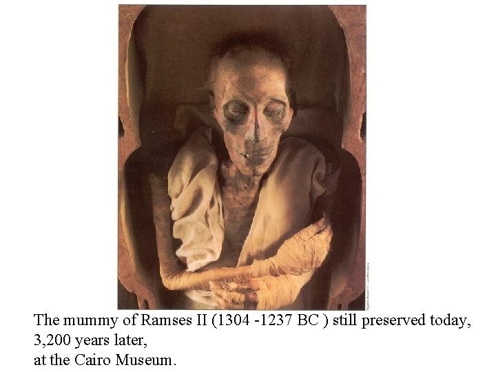 The mummy of Ramses II (1304 -1237 BC ) still preserved today, 3, 200