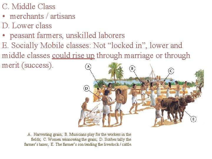 C. Middle Class • merchants / artisans D. Lower class • peasant farmers, unskilled
