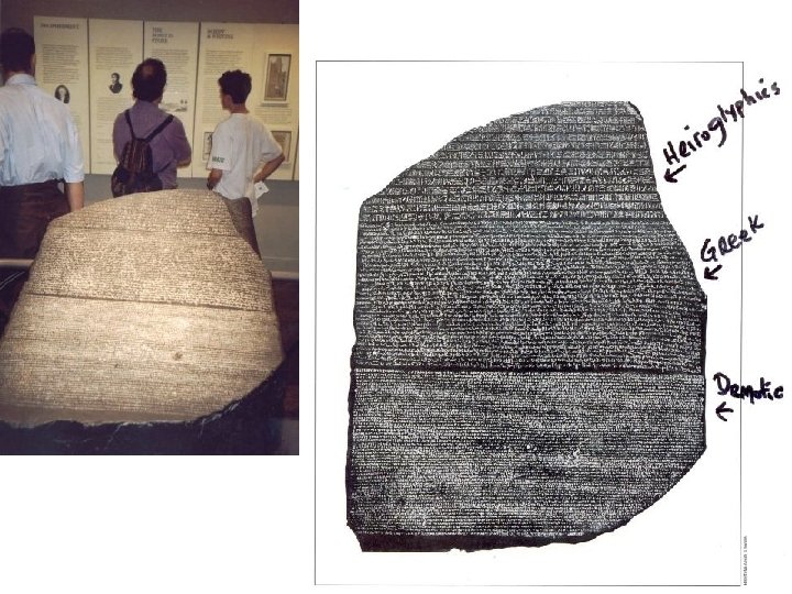 The Rosetta Stone, discovered in 1799 A. D. The Rosetta Stone can be viewed