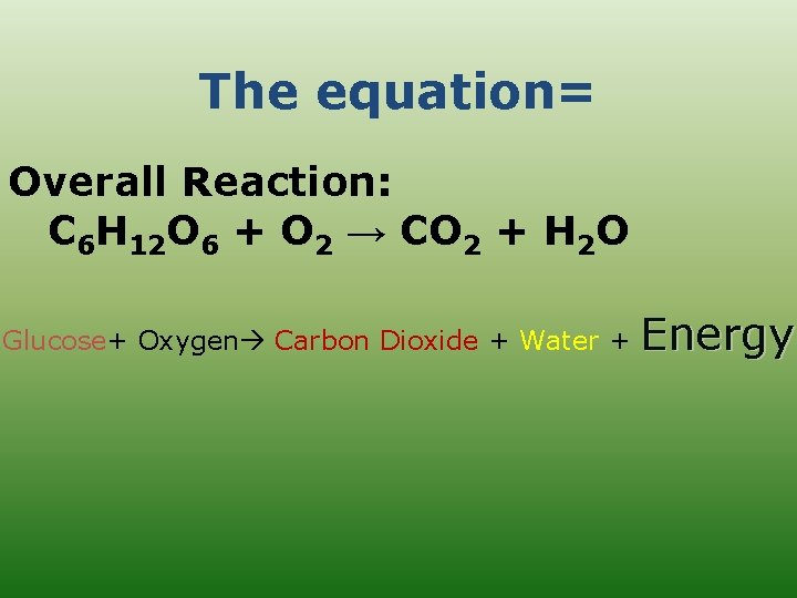 The equation= Overall Reaction: C 6 H 12 O 6 + O 2 →