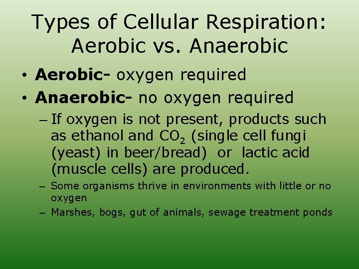 Types of Cellular Respiration: Aerobic vs. Anaerobic • Aerobic- oxygen required • Anaerobic- no