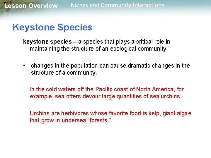 Lesson Overview Niches and Community Interactions Lesson Overview