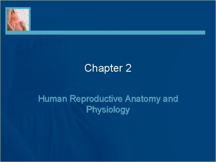 Chapter 2 Human Reproductive Anatomy and Physiology 