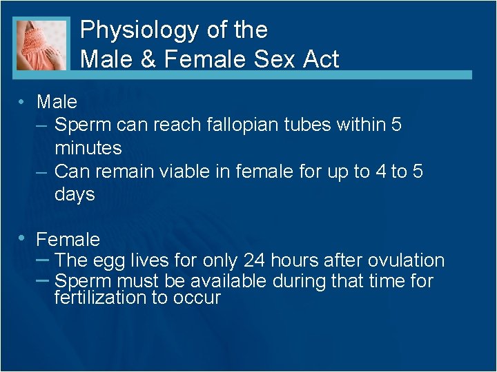 Physiology of the Male & Female Sex Act • Male – Sperm can reach