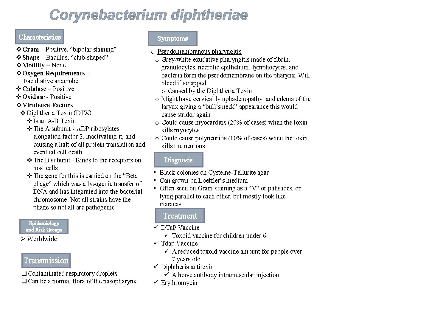 Corynebacterium diphtheriae Characteristics Symptoms v Gram – Positive, “bipolar staining” o Pseudomembranous pharyngitis v