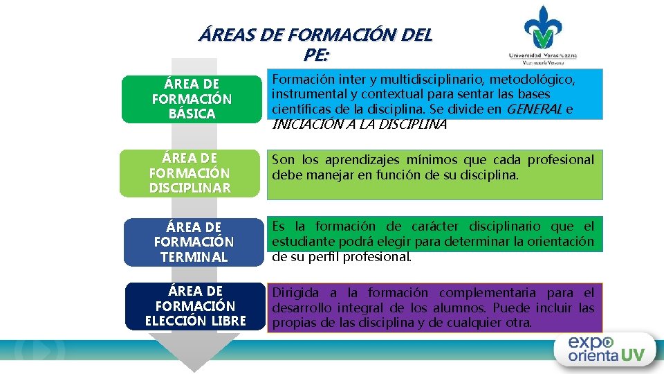 ÁREAS DE FORMACIÓN DEL PE: ÁREA DE FORMACIÓN BÁSICA Formación inter y multidisciplinario, metodológico,