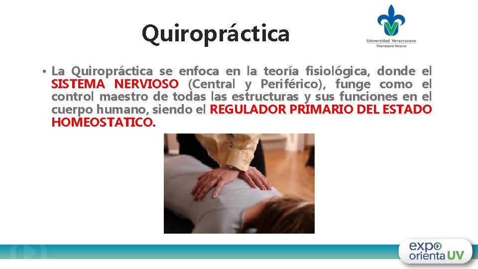 Quiropráctica • La Quiropráctica se enfoca en la teoría fisiológica, donde el SISTEMA NERVIOSO