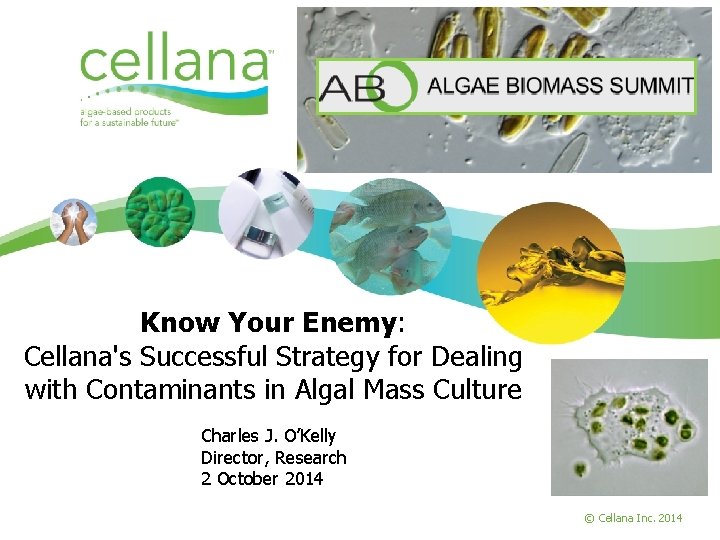 Know Your Enemy: Cellana's Successful Strategy for Dealing with Contaminants in Algal Mass Culture