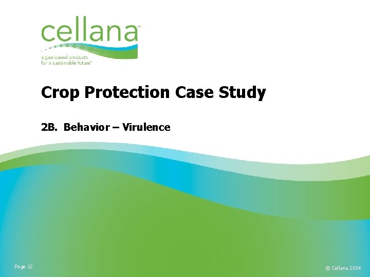 Crop Protection Case Study 2 B. Behavior – Virulence Page 12 © Cellana 2014