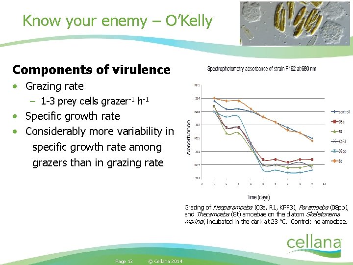 Know your enemy – O’Kelly Components of virulence • Grazing rate – 1 -3