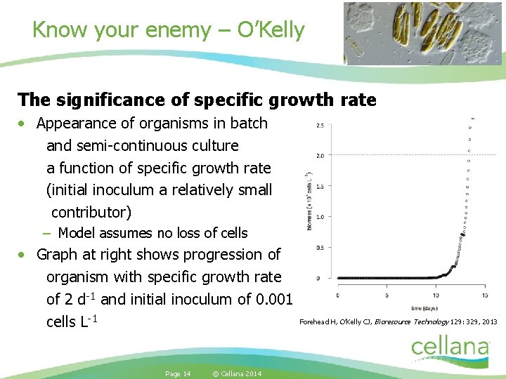 Know your enemy – O’Kelly The significance of specific growth rate • Appearance of