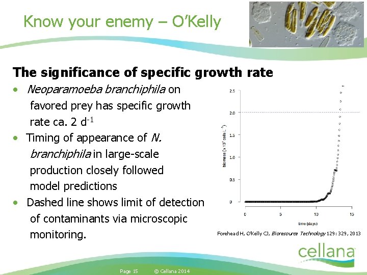 Know your enemy – O’Kelly The significance of specific growth rate • Neoparamoeba branchiphila