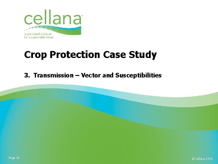 Crop Protection Case Study 3. Transmission – Vector and Susceptibilities Page 18 © Cellana