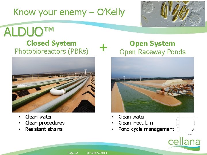 Know your enemy – O’Kelly ALDUO™ Closed System Photobioreactors (PBRs) + • Clean water