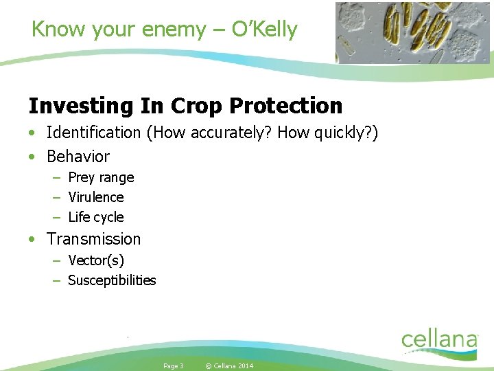 Know your enemy – O’Kelly Investing In Crop Protection • Identification (How accurately? How