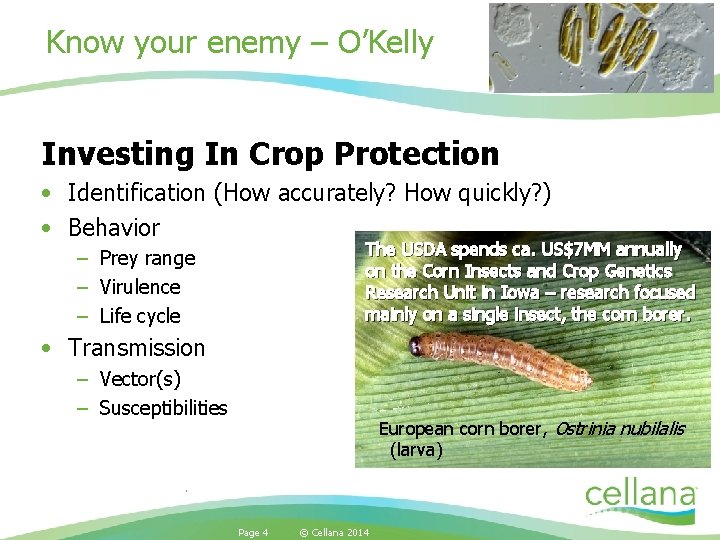 Know your enemy – O’Kelly Investing In Crop Protection • Identification (How accurately? How