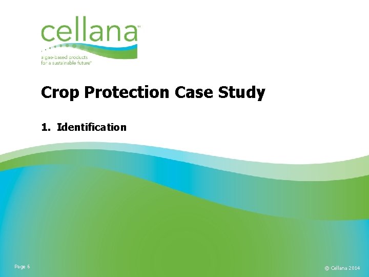 Crop Protection Case Study 1. Identification Page 6 © Cellana 2014 