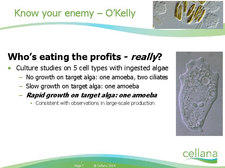 Know your enemy – O’Kelly Who’s eating the profits - really? • Culture studies