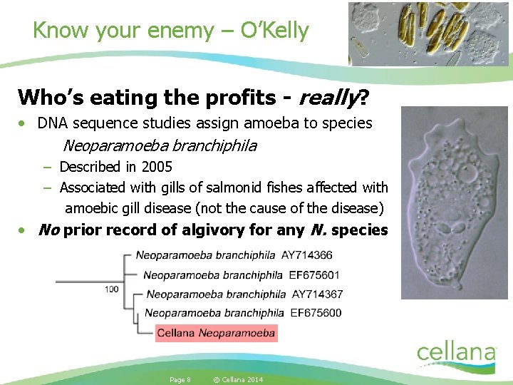 Know your enemy – O’Kelly Who’s eating the profits - really? • DNA sequence