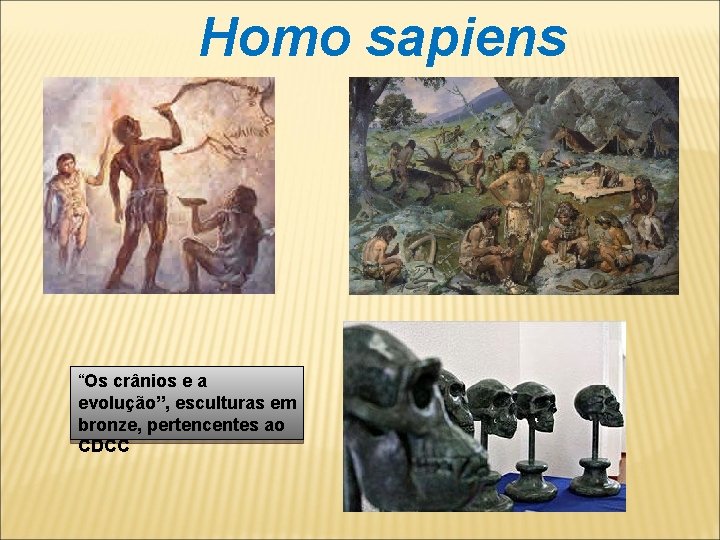 Homo sapiens “Os crânios e a evolução”, esculturas em bronze, pertencentes ao CDCC 