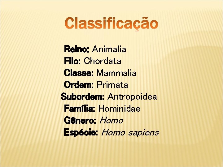 Reino: Animalia Filo: Chordata Classe: Mammalia Ordem: Primata Subordem: Antropoidea Família: Hominidae Gênero: Homo