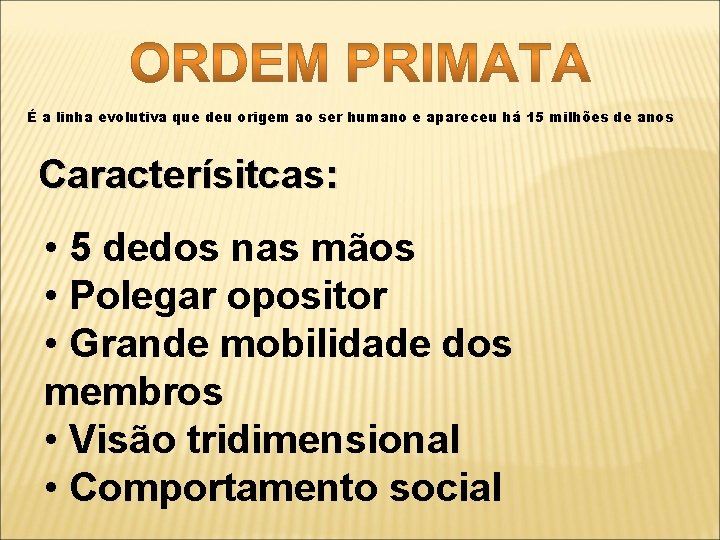 É a linha evolutiva que deu origem ao ser humano e apareceu há 15