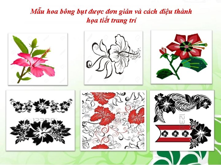 Mẫu hoa bông bụt được đơn giản và cách điệu thành họa tiết trang