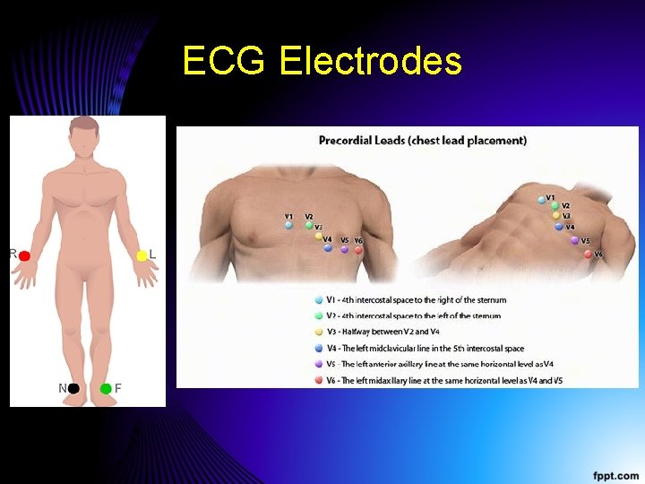 ECG Electrodes 