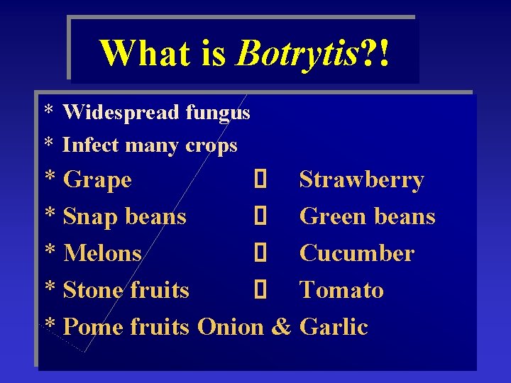 What is Botrytis? ! * Widespread fungus * Infect many crops * Grape Strawberry