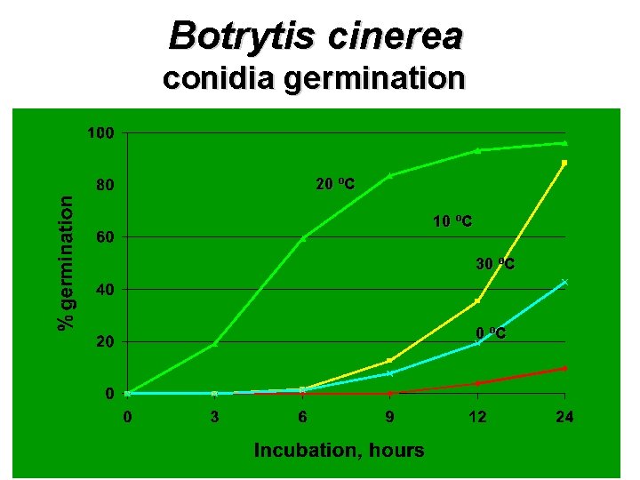 Botrytis cinerea conidia germination 20 ºC 10 ºC 30 ºC 