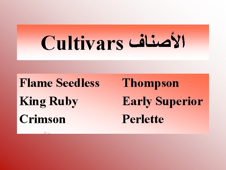 Cultivars ﺍﻷﺼﻨﺎﻑ Flame Seedless King Ruby Crimson Thompson Early Superior Perlette 