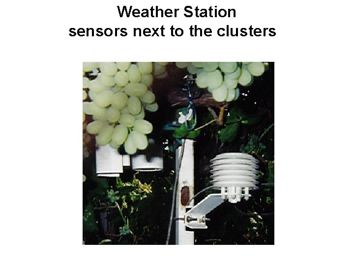 Weather Station sensors next to the clusters 