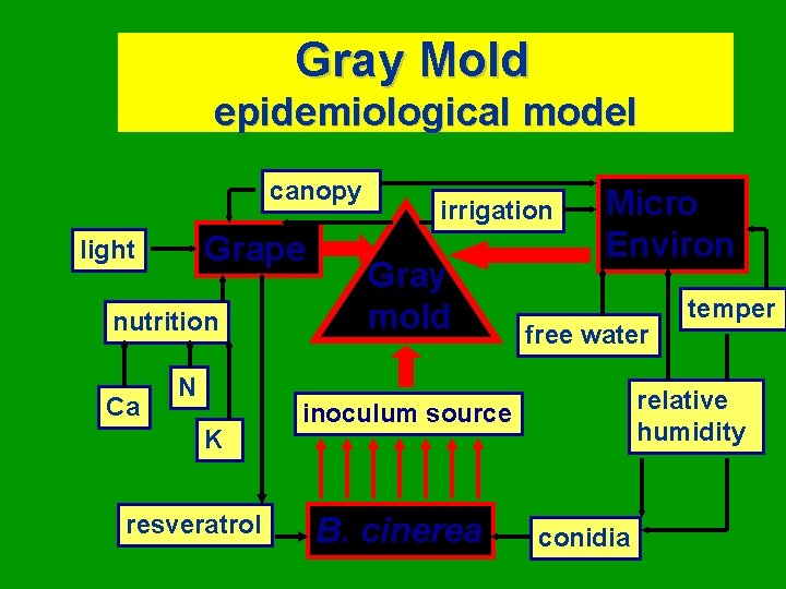 Gray Mold epidemiological model canopy Grape light nutrition Ca N K resveratrol irrigation Gray