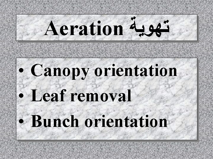 Aeration ﺗﻬﻮﻳﺔ • Canopy orientation • Leaf removal • Bunch orientation 