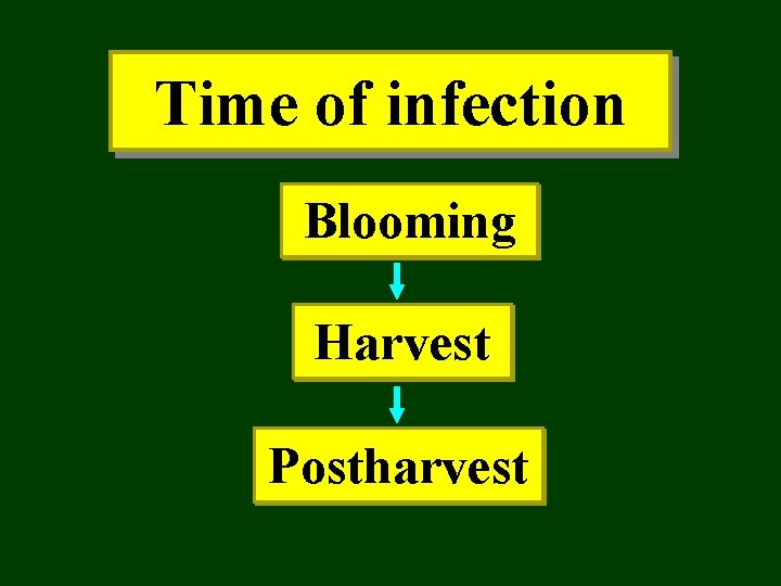 Time of infection Blooming Harvest Postharvest 