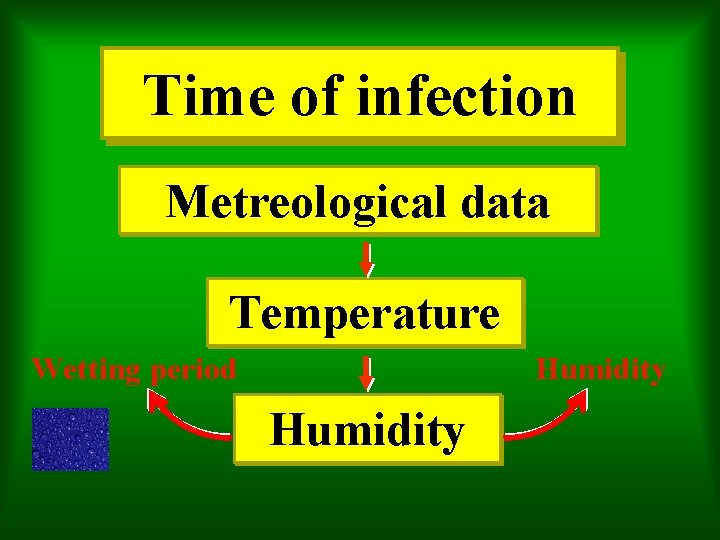 Time of infection Metreological data Temperature Humidity Wetting period Humidity 