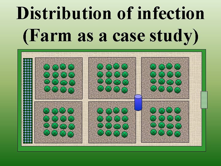 Distribution of infection (Farm as a case study) 