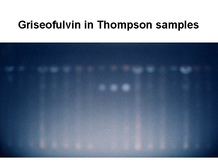 Griseofulvin in Thompson samples 