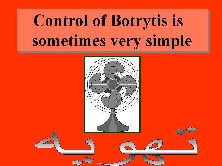 Control of Botrytis is sometimes very simple 