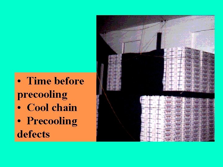  • Time before precooling • Cool chain • Precooling defects 