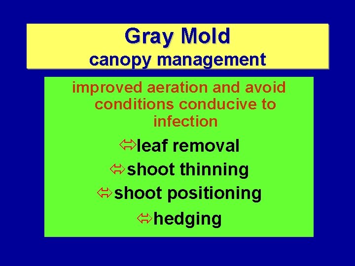 Gray Mold canopy management improved aeration and avoid conditions conducive to infection óleaf removal