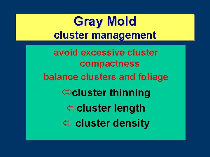 Gray Mold cluster management avoid excessive cluster compactness balance clusters and foliage ócluster thinning