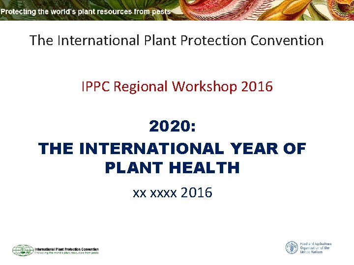 The International Plant Protection Convention IPPC Regional Workshop 2016 2020: THE INTERNATIONAL YEAR OF